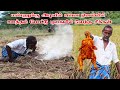 UNDERGROUND SMOKE CHICKEN | Chicken Cooking With Palm Tree Leaf |