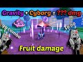 Gravity + Cyborg Actually Broken Damage With Sanguine Yama Blox Fruits Bounty Hunting