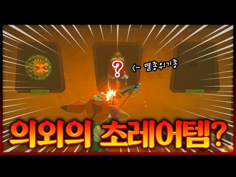 야숨에 단 4번만 쓸 수 있는 초레어템이 있다고? (젤다의 전설 야생의 숨결)