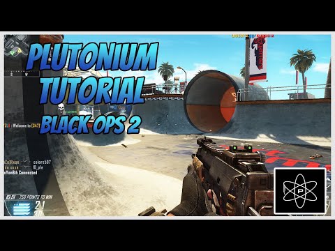 GUIDE: How to play Call of Duty: Black Ops 2 in split screen on PC (Steam,  Plutonium, and Fitgirl version tested) : u/Perseveruz