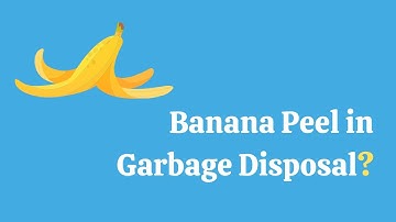 Can You Put Banana Peels In Garbage Disposal? Answered