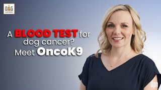 A Blood Test for Dog Cancer? Meet OncoK9 | Dr. Andi Flory
