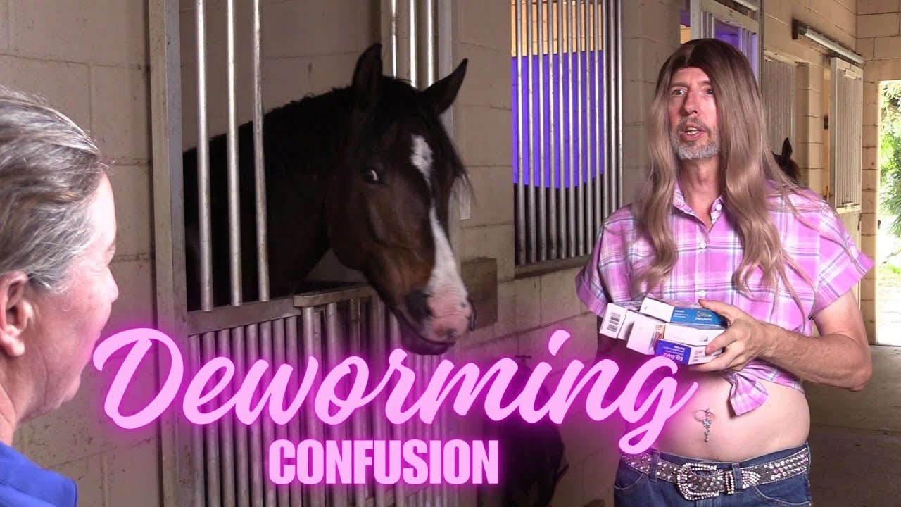 Horse Girl Goes To The Vet Deworming Advice YouTube horse-girl-goes-to-the-vet-deworming-advice-youtube