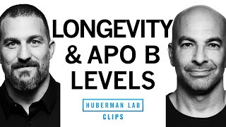 Why Low Cholesterol & ApoB Levels Are Critical for Longevity | Dr. Peter Attia & Dr. Andrew Huberman screenshot 3