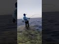 Shore Jigging Game 🔥🎣 #nature #fishing #pescaria #sea #fish