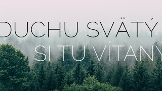 Duchu Svätý si tu vítaný - chvály (text)