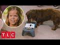 Anna Decorates a Room For Her Dog Cruiser! | 7 Little Johnstons