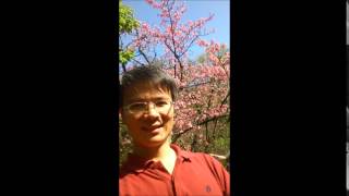 覺察練習1（Mindfulness）接納情緒  張世傑