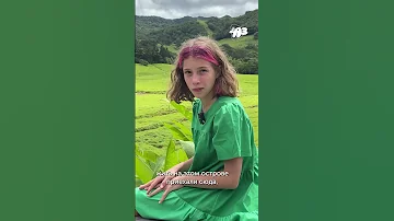 Вы будете В ШОКЕ, когда узнаете что НА САМОМ ДЕЛЕ произошло с птицами ДОДО!
