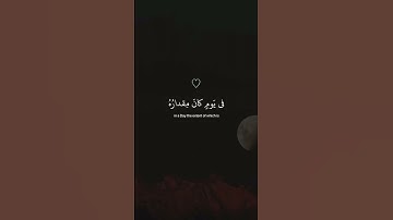 ✨🌿تلاوة ‏‏هادئ تريح القلب 😴🎧القارئ اسلام صبحي من سورة السجدة 🌿✨