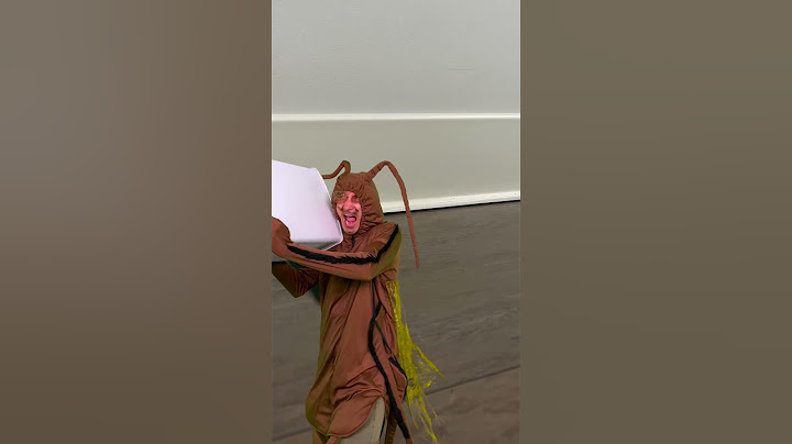 Kakerlaken machen sich immer Sorgen um ihre Familie🥰🪳🥹