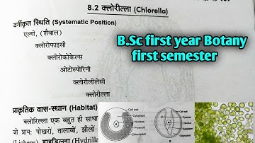 Chlorella algae|| क्लोरीला || B.Sc first Year Botany first semester Microbiology and plant pathology