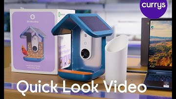 BIRD BUDDY 2.0 Smart Camera Bird Feeder with Solar Roof - Quick Look