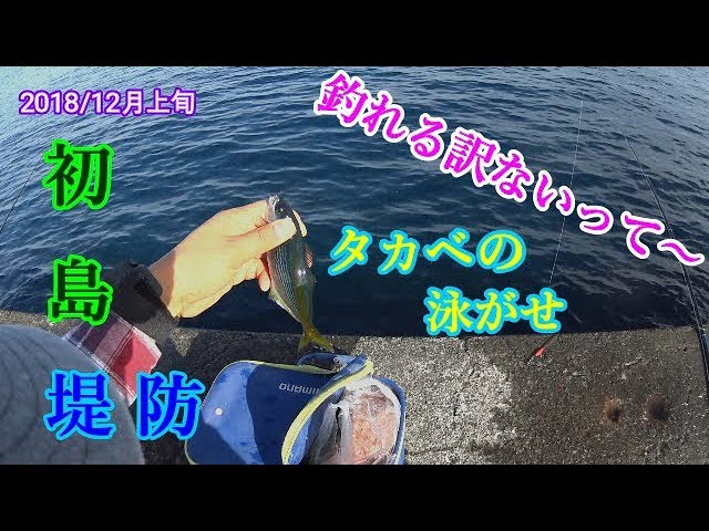 初島 ゴロタ場へ行く前に堤防で無謀な泳がせ釣り Youtube 初島 ゴロタ場へ行く前に堤防で無謀な泳がせ釣り Youtube