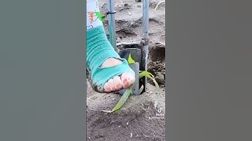 Dụng cụ đánh chuyển gốc cây