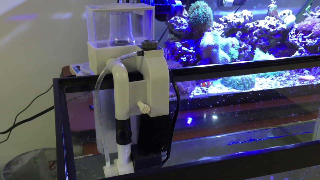 Marco Aqua M50 Protein Skimmer Quick Setup YouTube