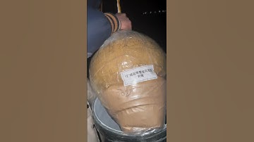 12" BROCADE CROWN W/GREEN GOLD STROBE DOUBLE PISTIL RISE/GOLD TAIL #yungfengdisplayshells #cny2024