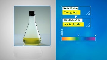 Thí nghiệm nhanh minh họa nước pi Biontech