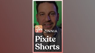 Zinnia #Shorts | Taking Notes screenshot 1