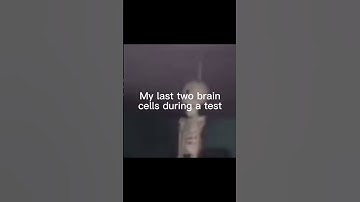 My last two brain cells during a test