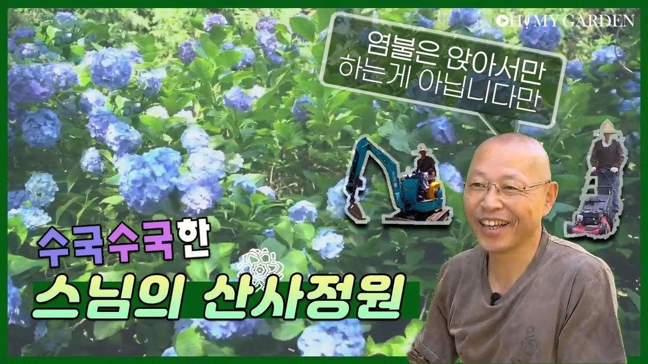 [정원의 발견] 수국 핀 산사 정원 The Garden of a Mountain Temple  | KBS제주 20200703 방송
