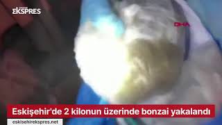 Eskişehir'de 2 kilonun üzerinde bonzai ele geçirildi
