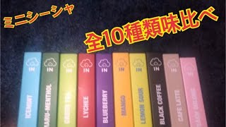 #48 2022/2/4 松本　ドンキホーテ　MINI SHISHA 全10種類、味比べしてみた！