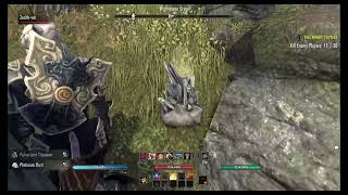 Elder Scrolls Online [ESO] - Jewelry Survey (Stormhaven)