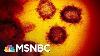 Infectious Disease Expert: Half Of America Is Likely To Catch Coronavirus | The 11th Hour | MSNBC