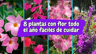 8 PLANTAS con FLORES todo el año y FÁCILES de CUIDAR