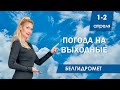 Видеопрогноз погоды по областям Беларуси на 1-2 апреля 2023 года