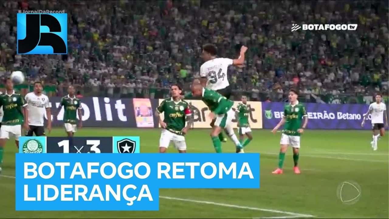 Botafogo vence o Palmeiras e reassume a liderança do Campeonato ...