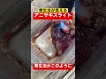 寄生虫が見えるアニサキスライトが凄すぎた #釣り #Short #魚 #生き物 #海 #fishing