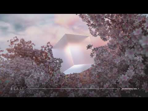 Ekali Hawaii 360 set(4k)