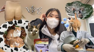 원광보건대 치위생과 VLOG | 20살에 들어왔는데 벌써 졸업이야 | 국시 출정이다 부우 | 고양이 분량99.9% | 대학교 일상 | 학교 브이로그