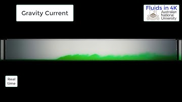 Gravity Current demonstration