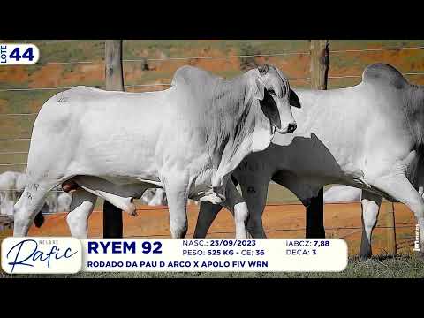 LOTE 44   RYEM 108  92