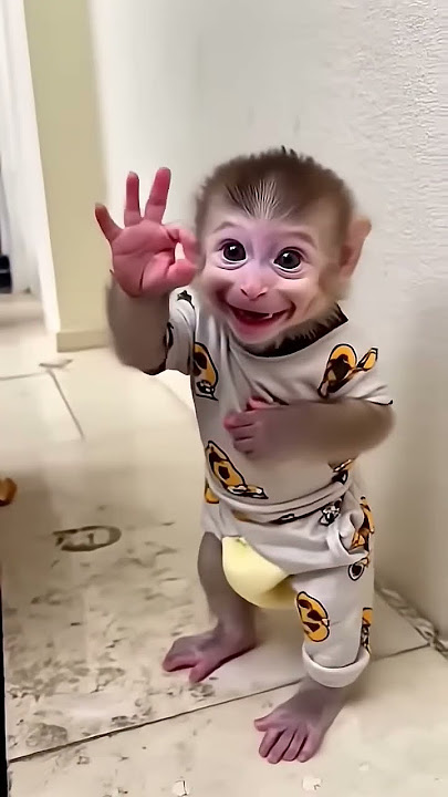 #funny #cute #ditagahindaktatagah #monkey #cutebaby #baby #shorts