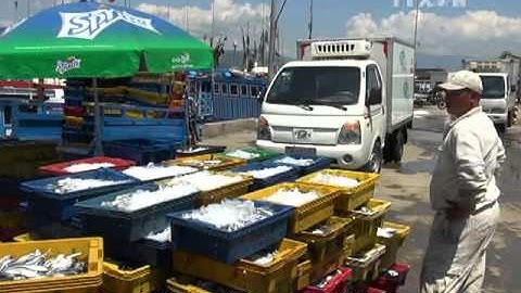 Ngư dân Khánh Hòa được mùa cá nục