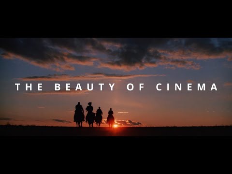 The Beauty of Cinema - My Tears Are Becoming a Sea