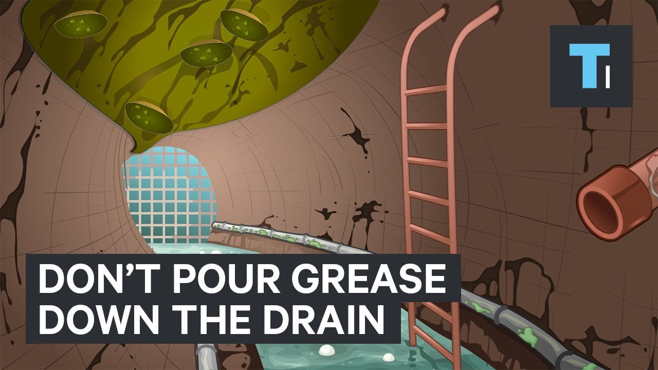 Why You Should Never Pour Grease Down The Drain