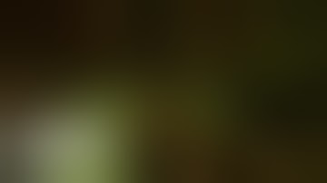 DOOM – Multiplayer Maps Explored