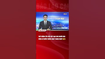 Thủ tướng yêu cầu cấp gạo cho người dân vùng lũ miền Trung ngay trong ngày 14/11 | THLC