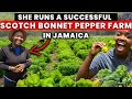 HOW A JAMAICAN FEMALE FARMER TURNED HER BACKYARD FARMING HOBBY INTO A SUCCESSFUL BUSINESS