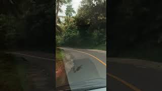 Jalan Nasional, Ruas Jalan Kema-Rumbia Bpjn Xv Sulut