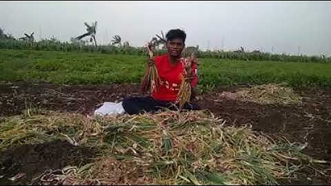 Learning Entrepreneurial lessons  Ground reality, MGT1002 Lean Startup by Prof Samuel Johnson VSB