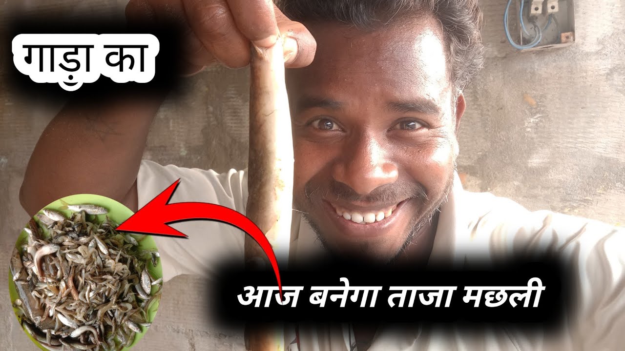 Kitna bada doriya machhali 🦈😀 | daily vlog 