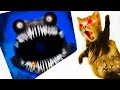 Cat reaction to Animation Compilation 10 min