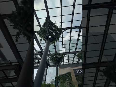 Torre Mítikah CDMX