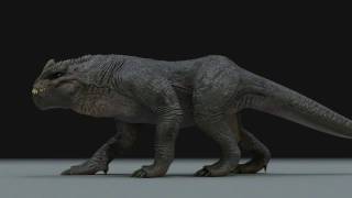 Gamourosaurus Walk Test